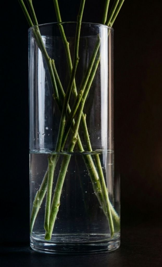 Fresh water in vase