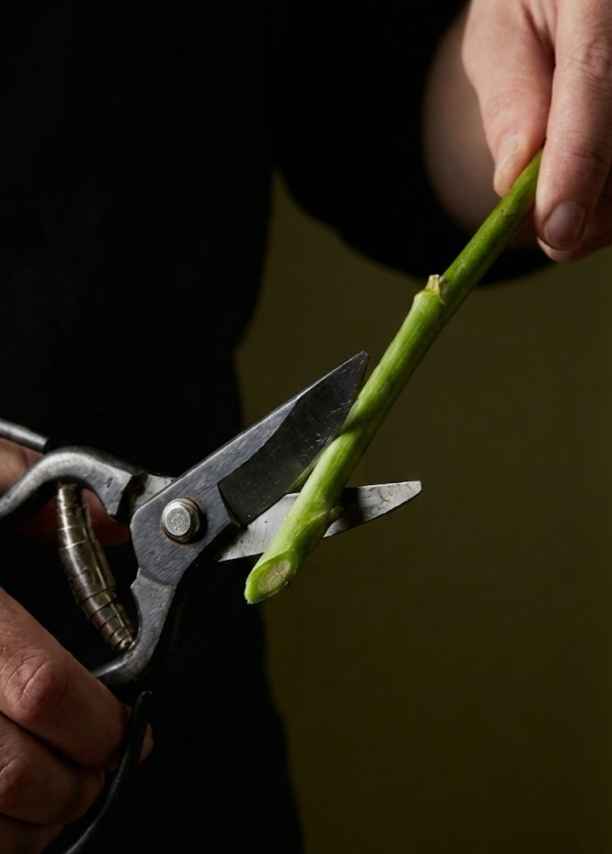 Trimming flower stems